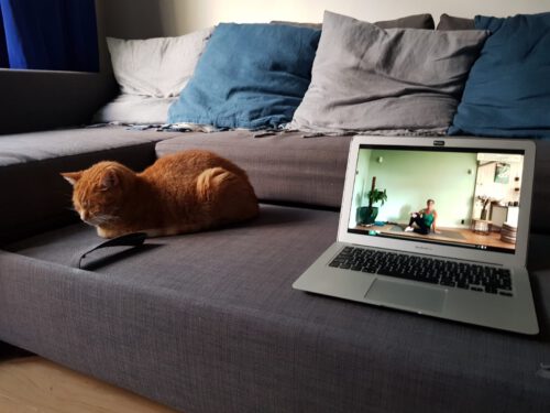 Thuis online yogalessen volgen online-yogalessen-voor-thuis