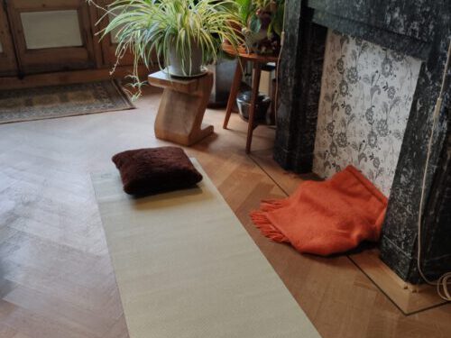 Pilates lessen online online-pilates-lessen-volgen
